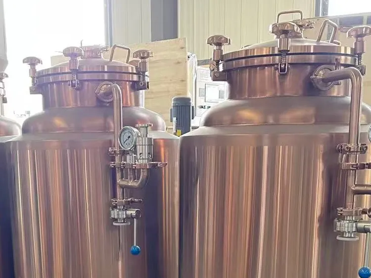 Used 100L Mini Brewery Equipment​