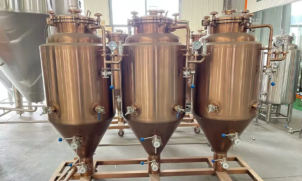 Used 100L Mini Brewery Equipment​