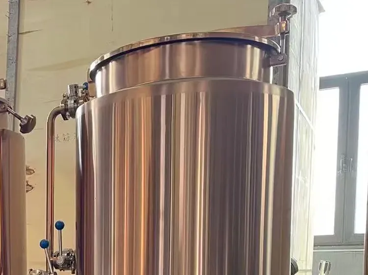 Used 100L Mini Brewery Equipment​